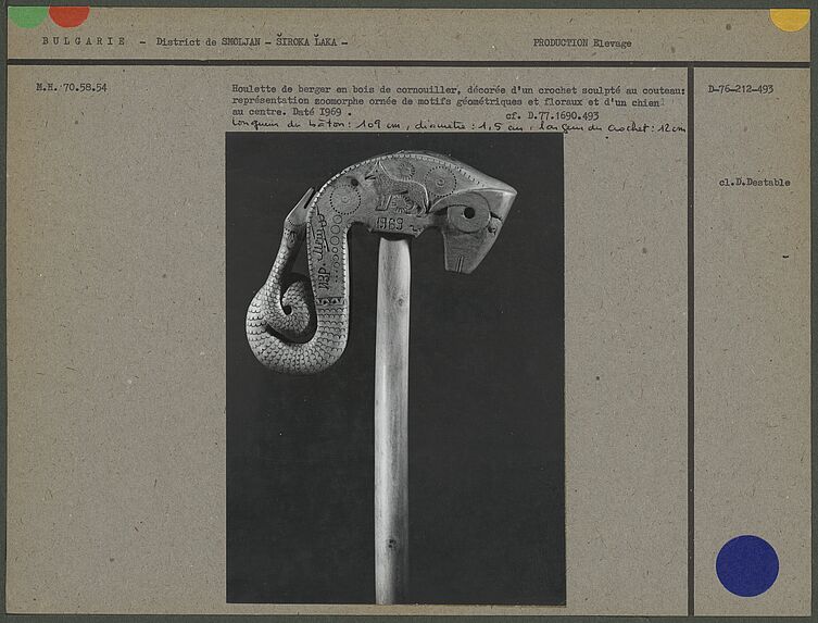 Houlette de berger en bois de cornouiller