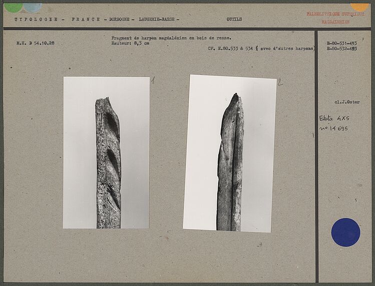 Fragment de harpon magdalénien en bois de renne