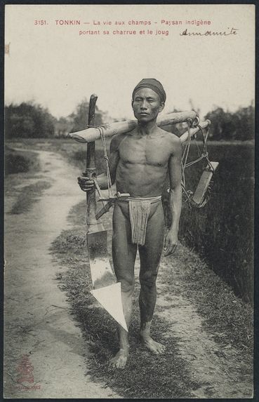 Paysan indigène portant sa charrue et le joug