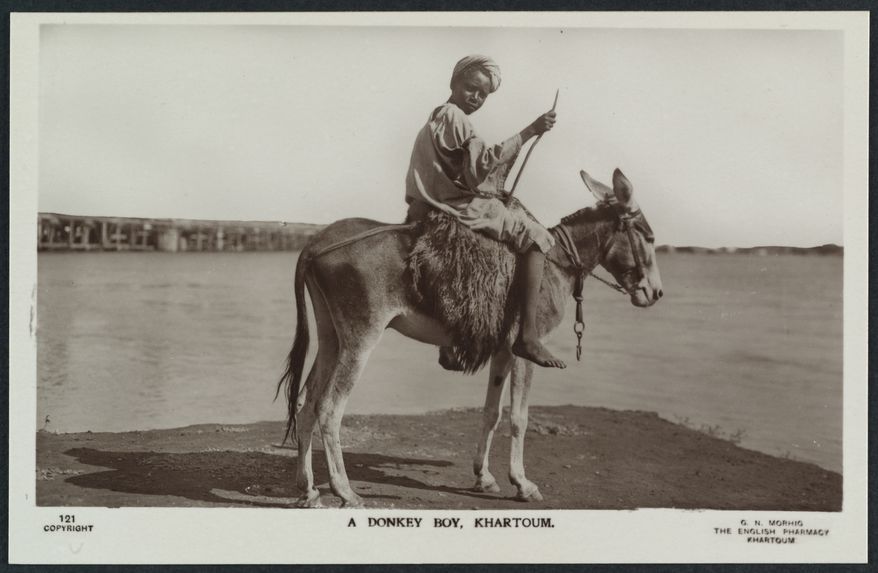 A donkey boy, Khartoum