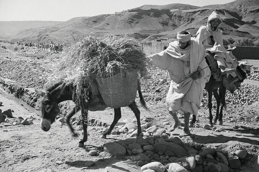 Sans titre [bande film de six vues concernant Haouz de Marrakech]