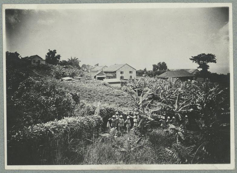 Guadeloupe ; compagnie du camp Jacob ; le jardin