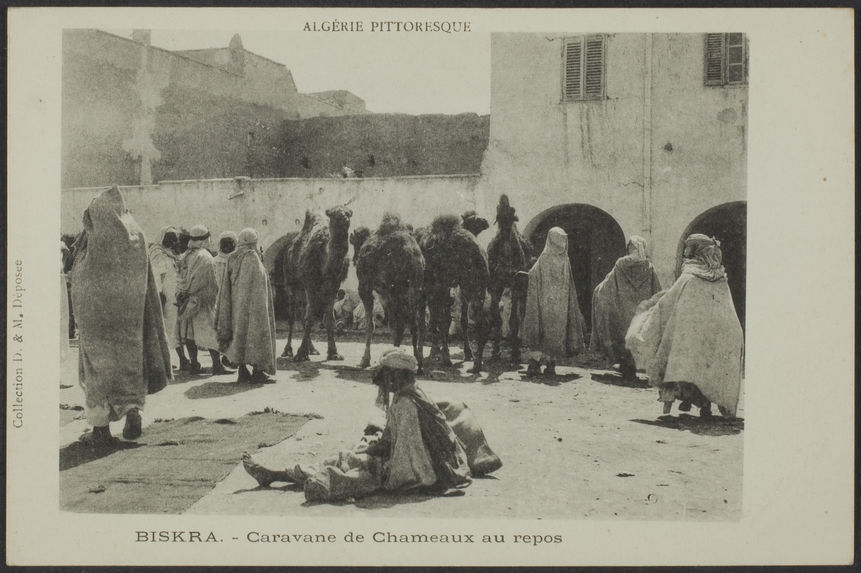 Algérie pittoresque ; Biskra. - Caravane de Chameaux au repos