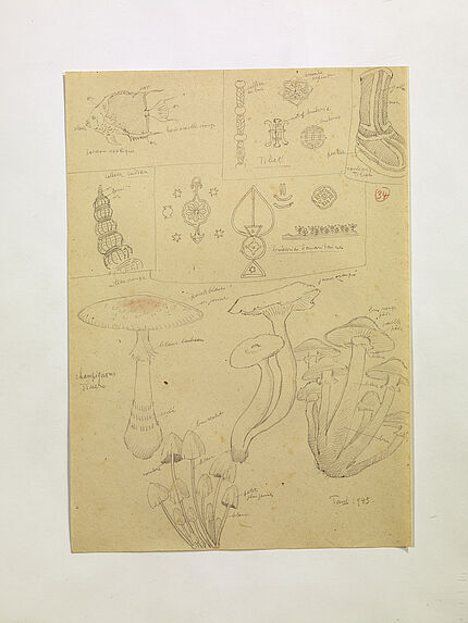 Poisson exotique. Objets et soulier du Tibet. Collier indien. Broderies samaritaines. Champignons divers. (34)