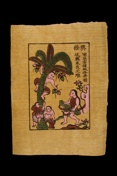 Image populaire :  la cueillette des noix de coco
