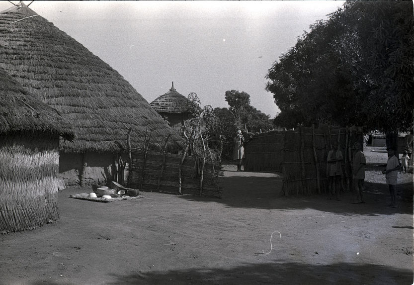 Sarabaïdo. Fulakunda [différentes scènes]