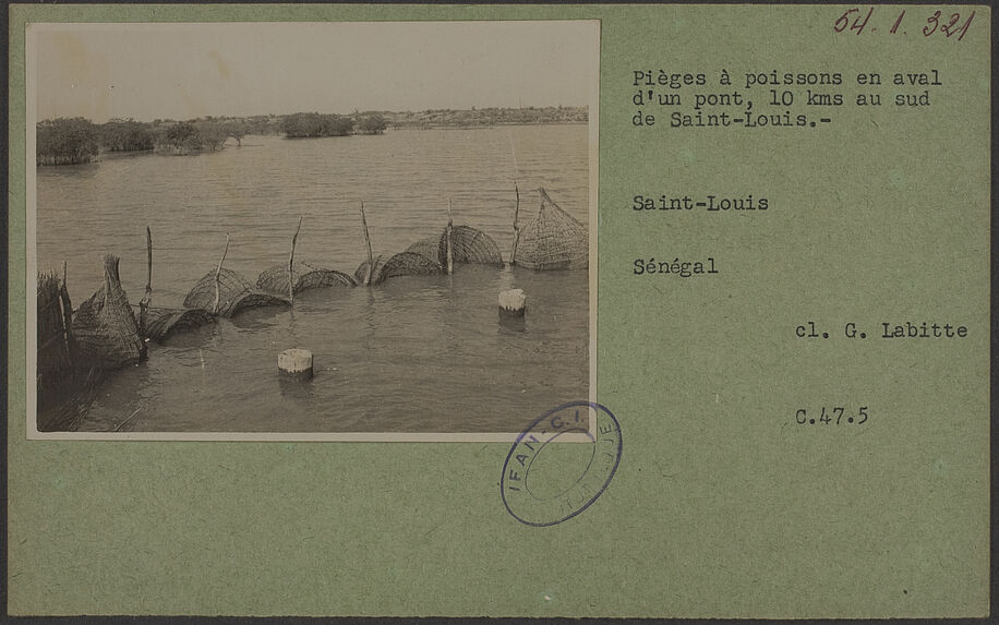 Pièges à poissons en aval d'un pont, 10 kms au sud de Saint-Louis