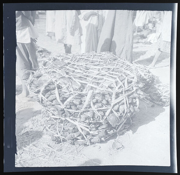 Emballage et transport du poisson séché