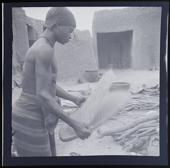 Femme Senoufo vannant le riz
