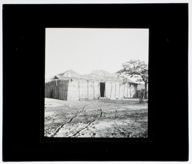 Clôture de roseaux autour d'une habitation