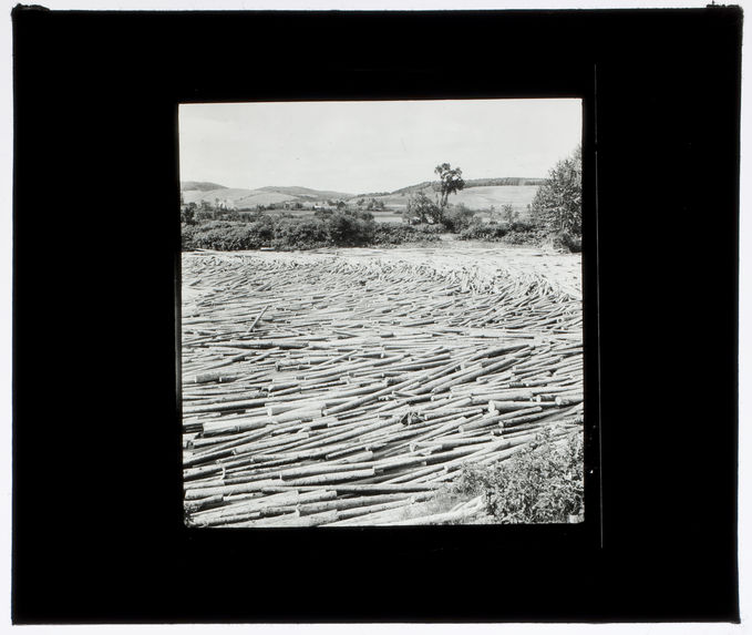 Flottage du bois sur la rivière Métis