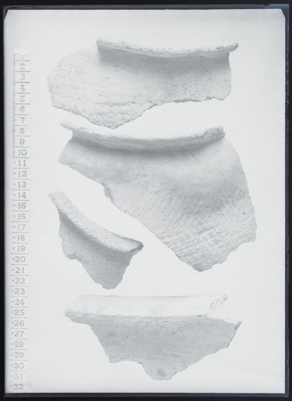 Fragments de céramiques; fouilles Seliquer