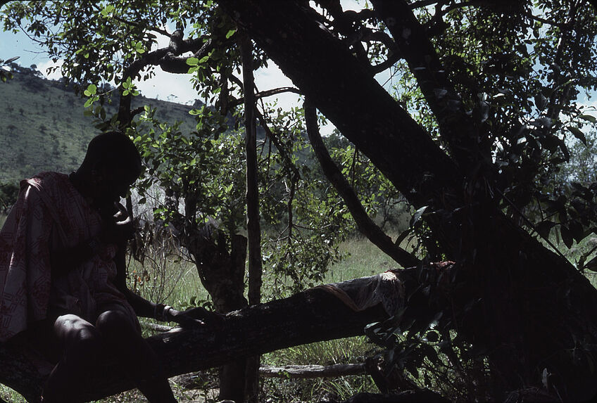 Sans titre [homme maasaï assis sur une branche d'arbre]