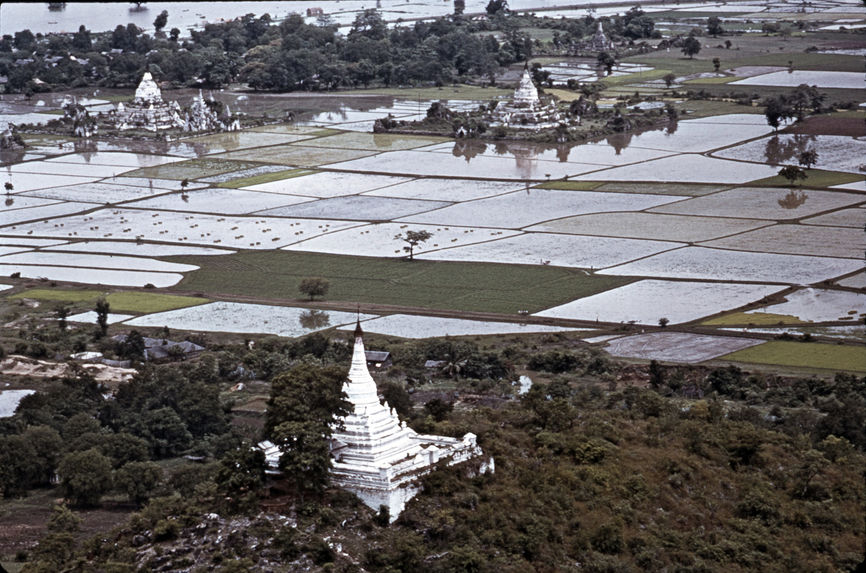 Rizières dans la plaine de Mandalay