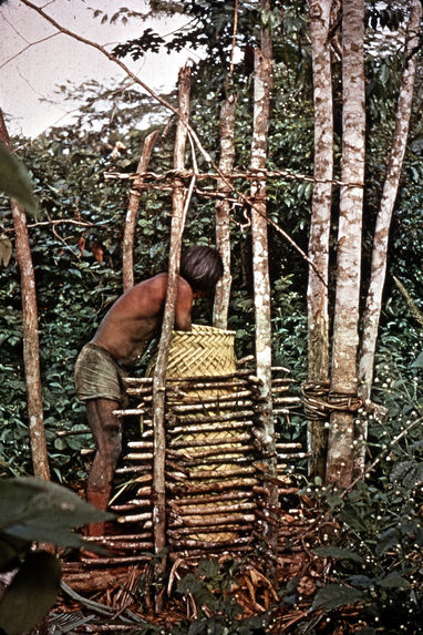 Presse pour le manioc