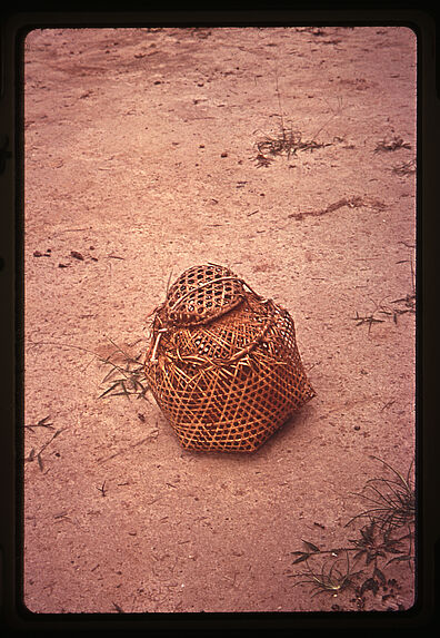 Panier pour le transport des oiseaux