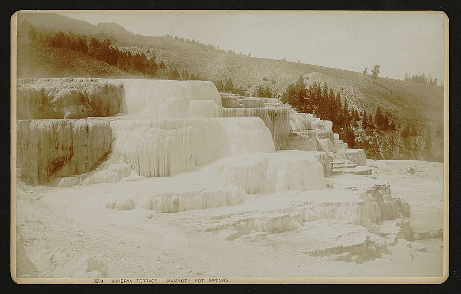 Minerva terrace Mammoth hot springs