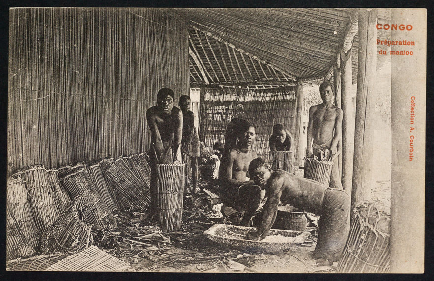 Congo. Préparation du manioc