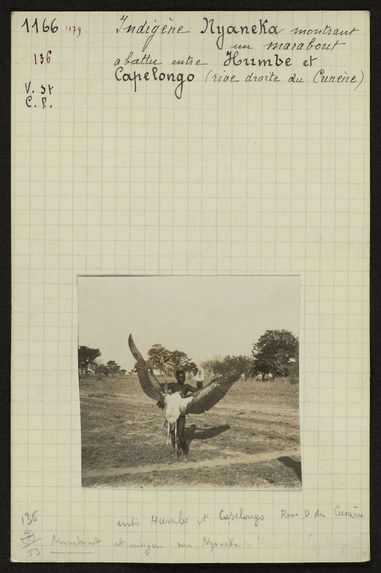 Indigène Nyaneka montrant un marabout abattu entre Humbe et Capelongo (rive droite du Cunène)