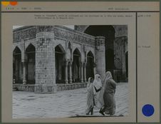 Bibliothèque de la Mosquée Zend
