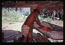 Râpage du manioc