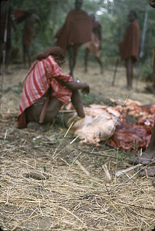 Sans titre [maasaï assis devant des morceaux de viande]