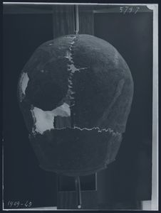 Crâne de la caverne néolithique de Pho-binh-Gia