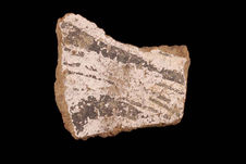 Vase (fragment)