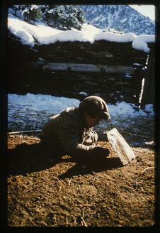 Jeune berger installant un piège à oiseau