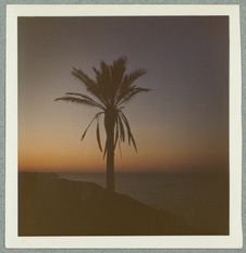 Monastir. Soir [vue de la tombée du jour au bord de la mer]