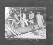 Indios Guahibos moliendo caña para el guarapo