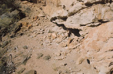 Balsas, site archéologique sous roche. Abris sous roche avec momies. Balsas…