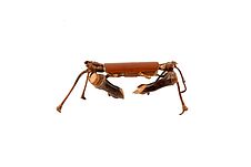 Figurine représentant un crabe