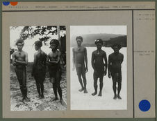 Bushmen des environs de Port-Olry