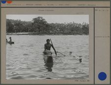 Pirogue à balancier