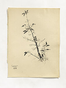 A floral tree [un arbre fleuri]