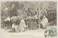 Constantine. - Marchands de Figues de Barbarie