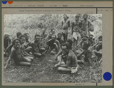 Groupe d'insulaires habitant  la montagne