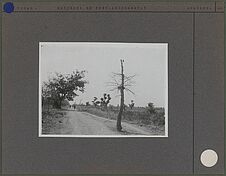 Poteau télégraphique et voyageurs sur une route près de Ft Archambault