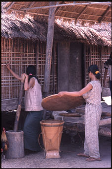 Jeunes filles pilant et vannant le riz