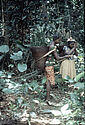 Femmes collectant des feuilles