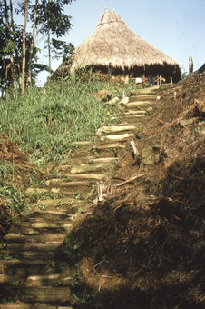 Chemin archéologique et paillotte