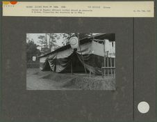 Danses de Bugaku : bâtiment latéral décoré de paravents à biches