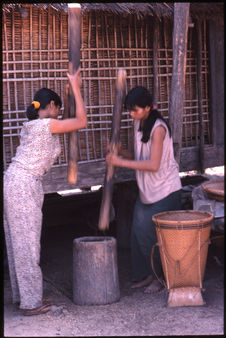 Jeunes filles pilant le riz