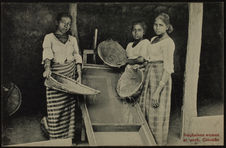 Singhalese women at work