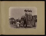 Baroda, state elephant of the Gaekwar