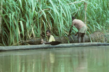 Enclos d’élevage de jeunes crocodiles, [nasse à crocodiles ?]