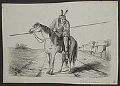 Comanche