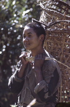 A young sherpa of Jorsale