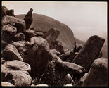 The Pinnacle & Organ Pipes, Mt Wellington